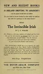 the_invincible_irish