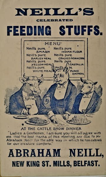 neills_animal_feedstuffs.jpg - Advertisement for Neill's Celebrated Animal Feedstuffs, New King Street, Belfast (1901).