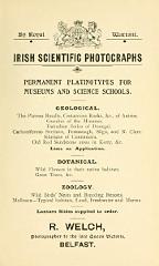 professional_services